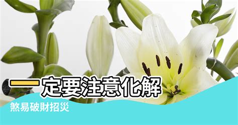 一箭穿心 風水|【一箭穿心煞】化解招災破財！一箭穿心煞風水大解密